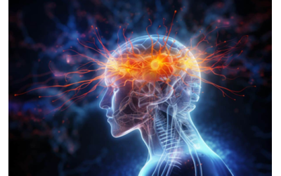 Amigdalanın Epilepsi Ani Ölümündeki Rolü