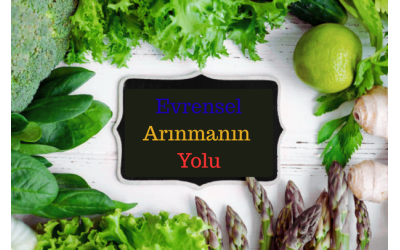 YOLCULUĞUNUZ BAŞLASIN!