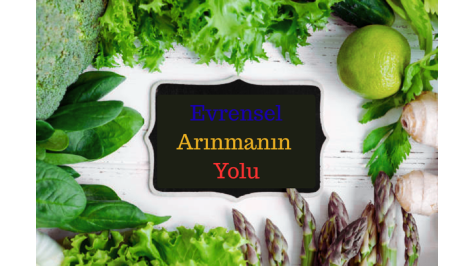 YOLCULUĞUNUZ BAŞLASIN!