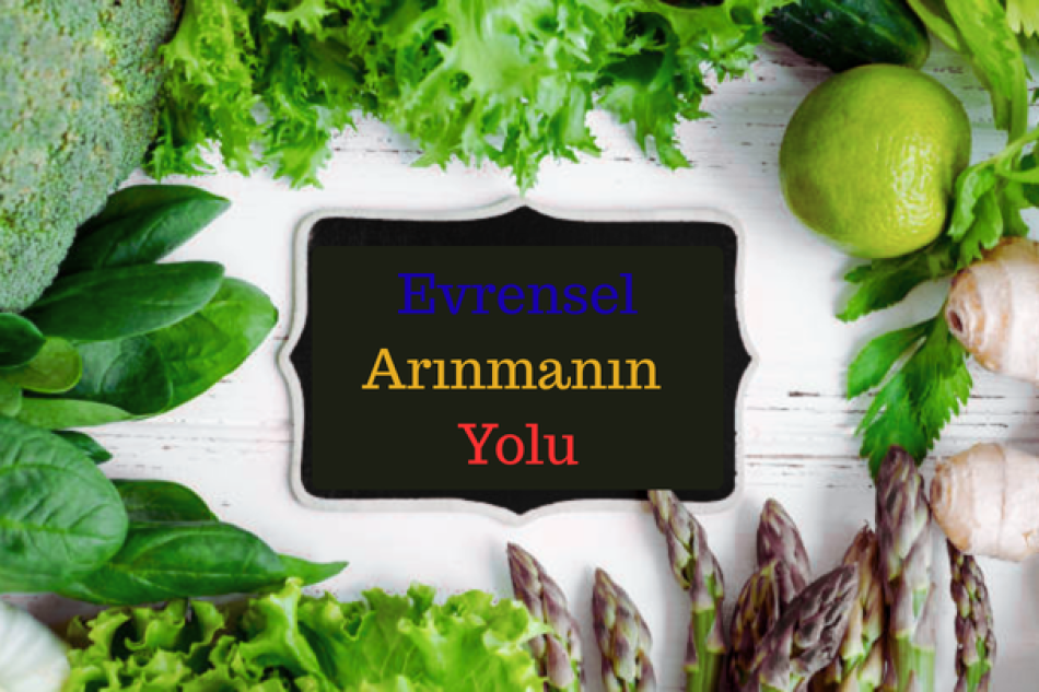 Evrensel Arınmanın Yolu Grup Katılım Kaydı